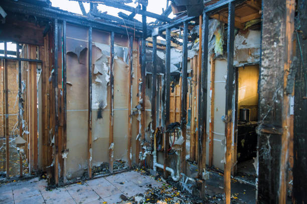 Professional Smoke Damage Removal technician working in Clinton, KY